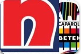 NIPPON PAINT