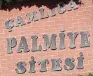 ÇAMLICA PALMİYE EVLERİ SİTESİ